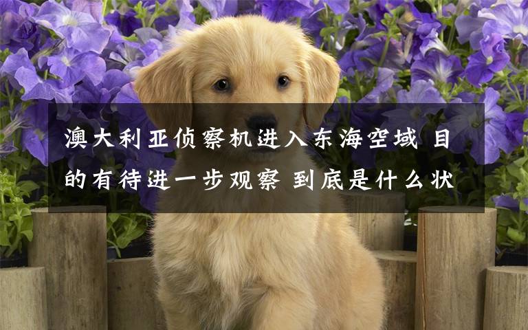 澳大利亚侦察机进入东海空域 目的有待进一步观察 到底是什么状况？
