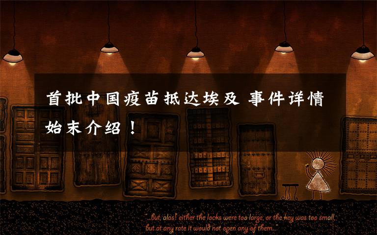 首批中国疫苗抵达埃及 事件详情始末介绍！