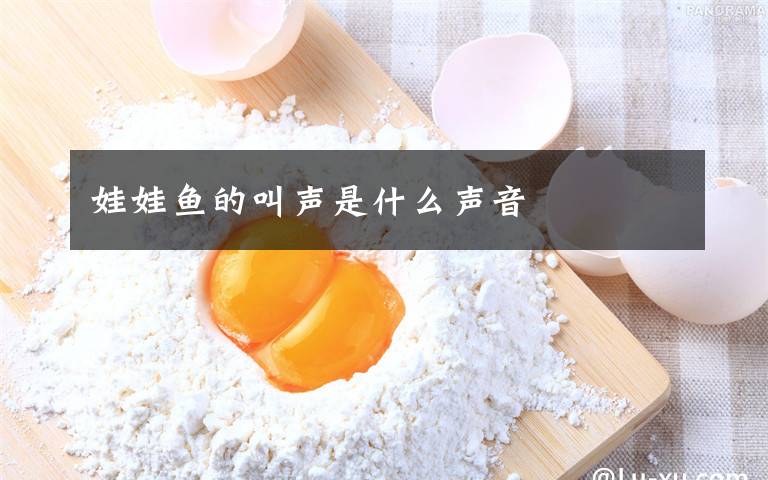 娃娃鱼的叫声是什么声音