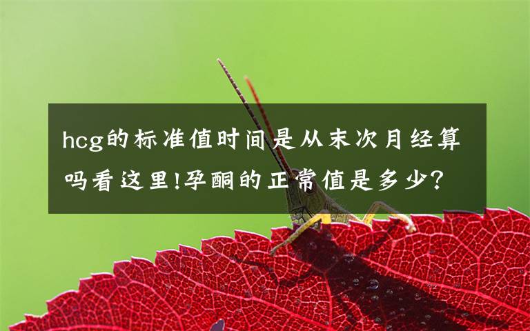 hcg的标准值时间是从末次月经算吗看这里!孕酮的正常值是多少？在这一范围，说明胎儿生长发育环境好