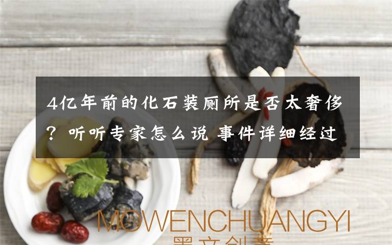 4亿年前的化石装厕所是否太奢侈？听听专家怎么说 事件详细经过！