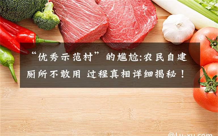 “优秀示范村”的尴尬:农民自建厕所不敢用 过程真相详细揭秘！