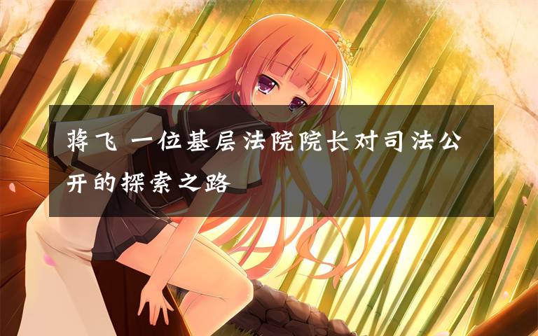 蒋飞 一位基层法院院长对司法公开的探索之路