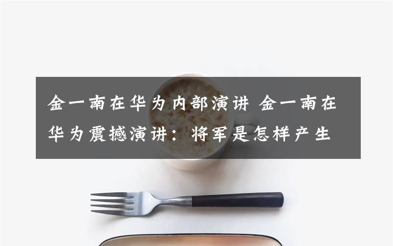 金一南在华为内部演讲 金一南在华为震撼演讲：将军是怎样产生的？