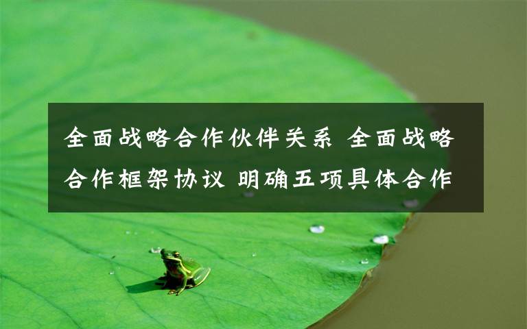 全面战略合作伙伴关系 全面战略合作框架协议 明确五项具体合作内容