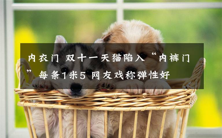 内衣门 双十一天猫陷入“内裤门”每条1米5 网友戏称弹性好