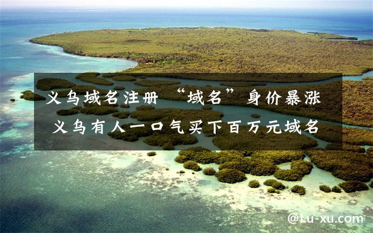 义乌域名注册 “域名”身价暴涨 义乌有人一口气买下百万元域名