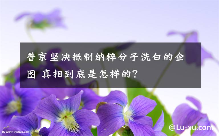 普京坚决抵制纳粹分子洗白的企图 真相到底是怎样的？