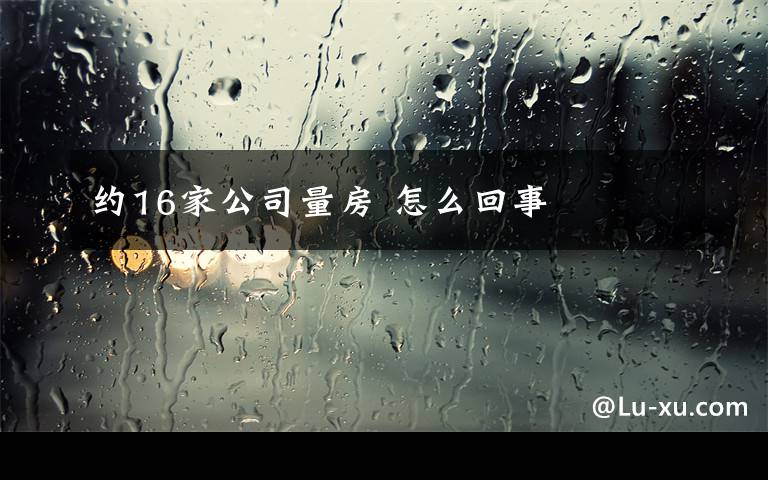 约16家公司量房 怎么回事
