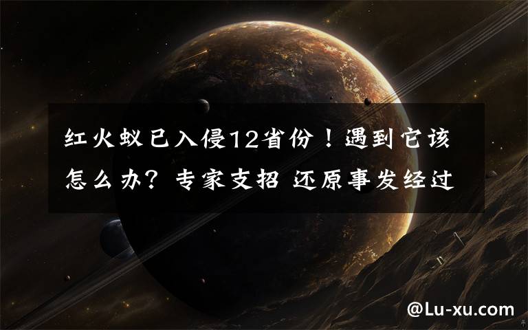 红火蚁已入侵12省份！遇到它该怎么办？专家支招 还原事发经过及背后原因！