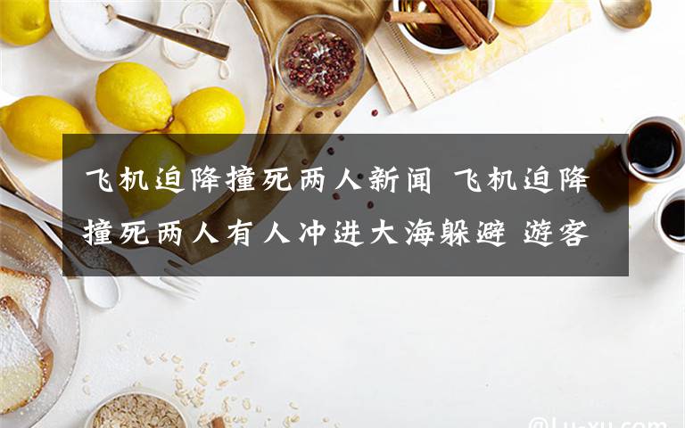 飞机迫降撞死两人新闻 飞机迫降撞死两人有人冲进大海躲避 游客愤怒包围两名飞行员