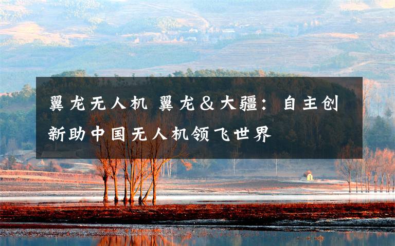 翼龙无人机 翼龙＆大疆：自主创新助中国无人机领飞世界