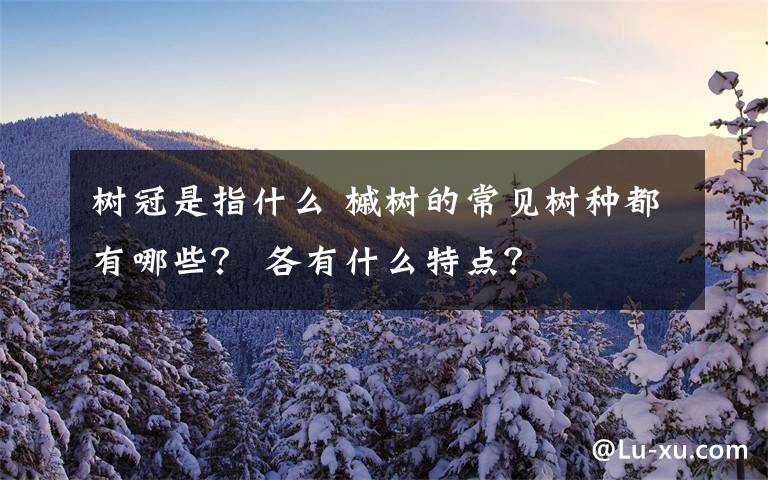 树冠是指什么 槭树的常见树种都有哪些？ 各有什么特点？