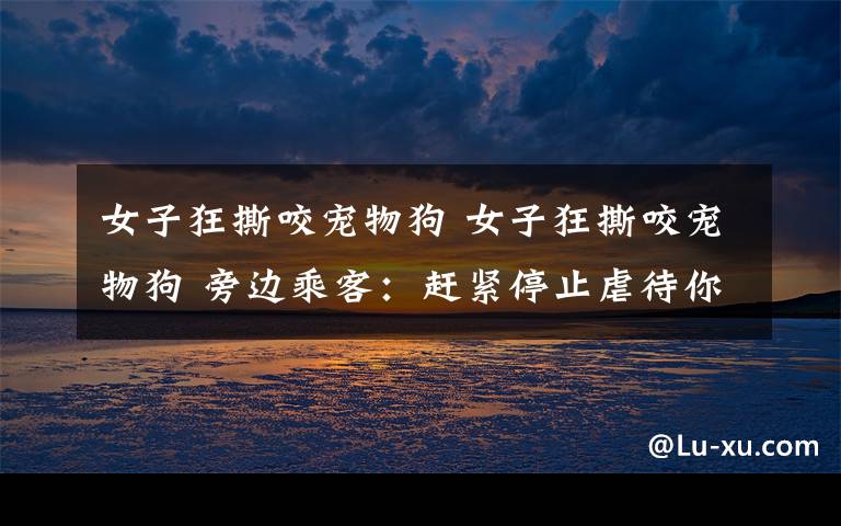 女子狂撕咬宠物狗 女子狂撕咬宠物狗 旁边乘客：赶紧停止虐待你的宠物