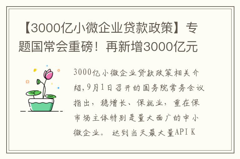 【3000亿小微企业贷款政策】专题国常会重磅！再新增3000亿元支小再贷款额度，发挥专项债作用带动扩大有效投资