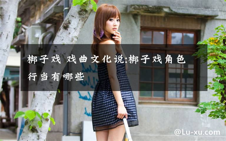 梆子戏 戏曲文化说:梆子戏角色行当有哪些