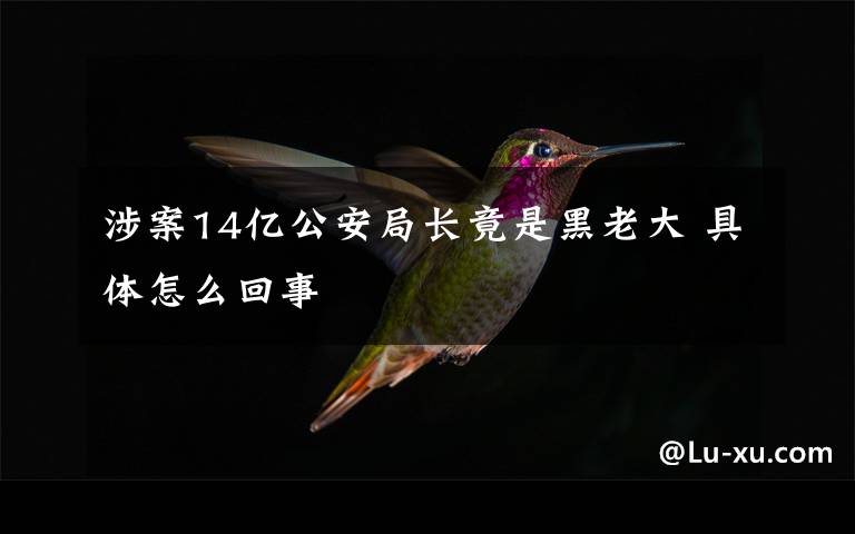 涉案14亿公安局长竟是黑老大 具体怎么回事