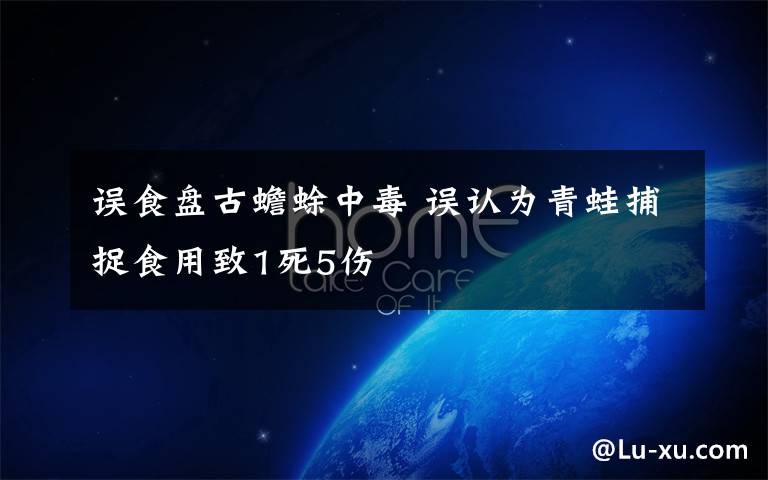误食盘古蟾蜍中毒 误认为青蛙捕捉食用致1死5伤