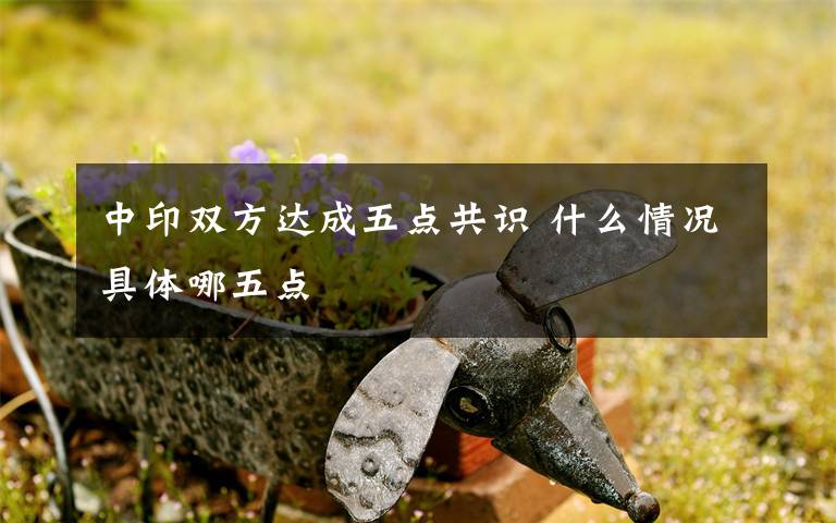 中印双方达成五点共识 什么情况具体哪五点