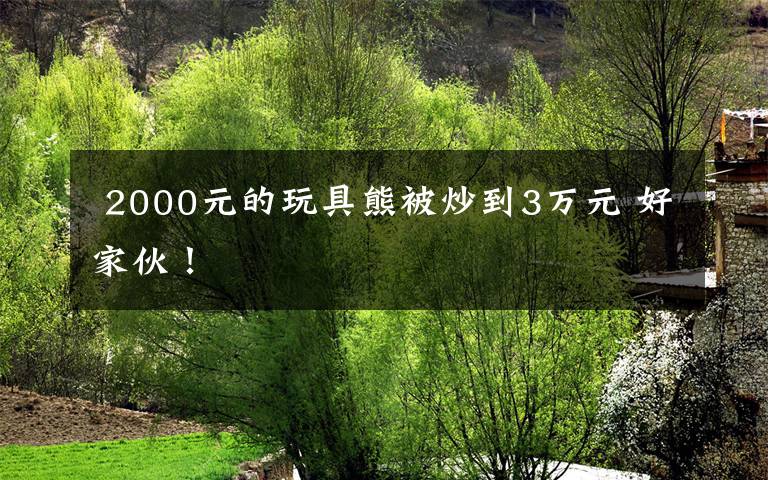  2000元的玩具熊被炒到3万元 好家伙！