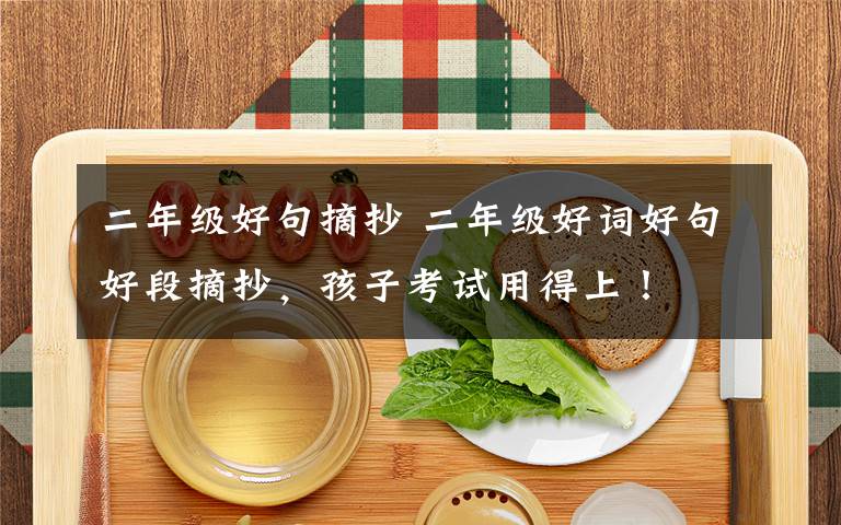 二年级好句摘抄 二年级好词好句好段摘抄，孩子考试用得上！