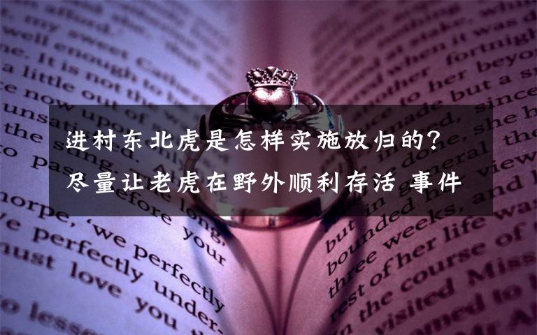 进村东北虎是怎样实施放归的？尽量让老虎在野外顺利存活 事件的真相是什么？