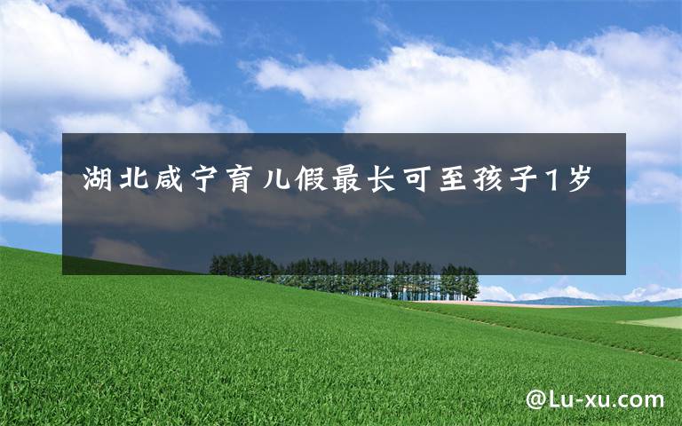 湖北咸宁育儿假最长可至孩子1岁