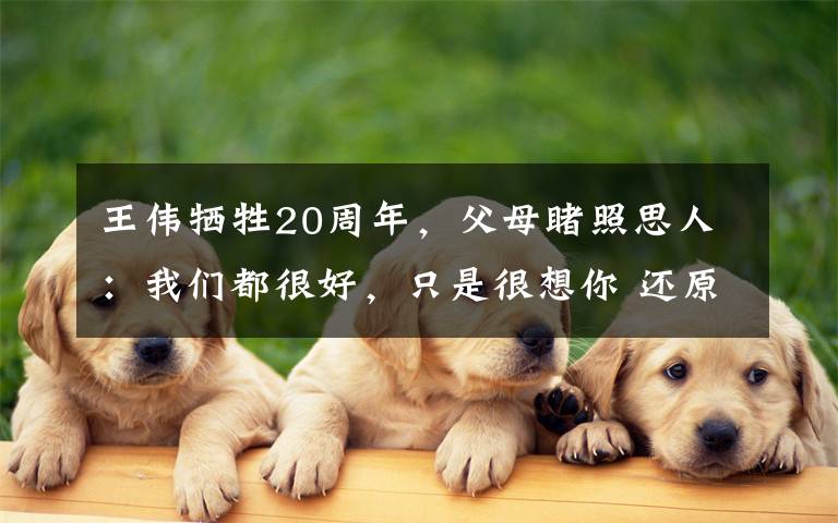 王伟牺牲20周年，父母睹照思人：我们都很好，只是很想你 还原事发经过及背后原因！