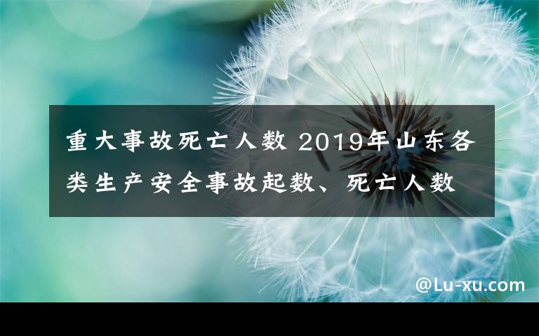 重大事故死亡人数 2019年山东各类生产安全事故起数、死亡人数实现双下降