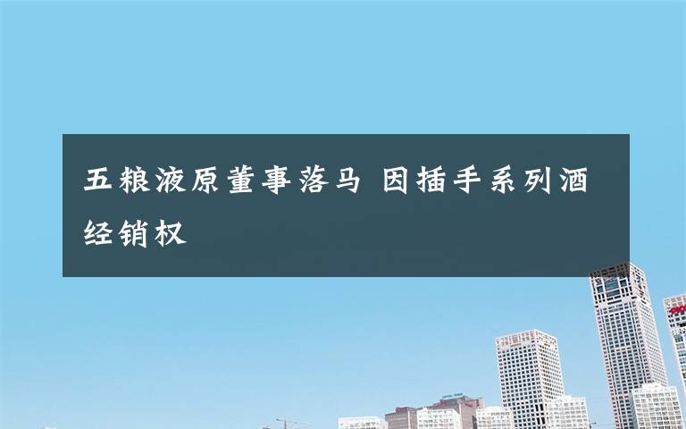 五粮液原董事落马 因插手系列酒经销权