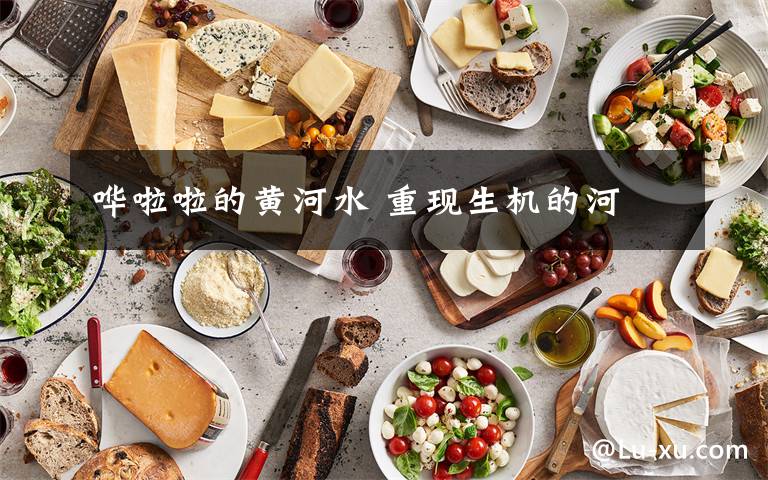 哗啦啦的黄河水 重现生机的河