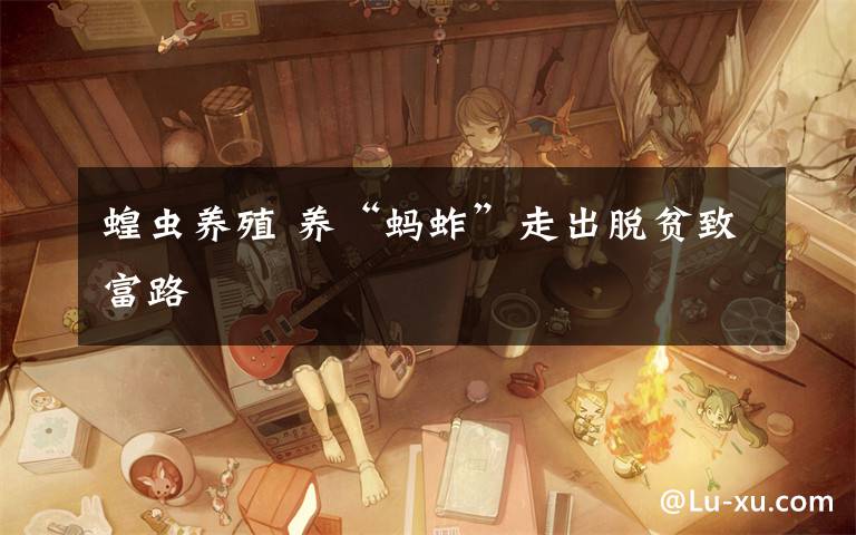 蝗虫养殖 养“蚂蚱”走出脱贫致富路