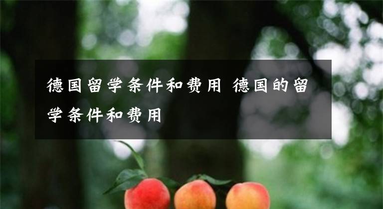 德国留学条件和费用 德国的留学条件和费用