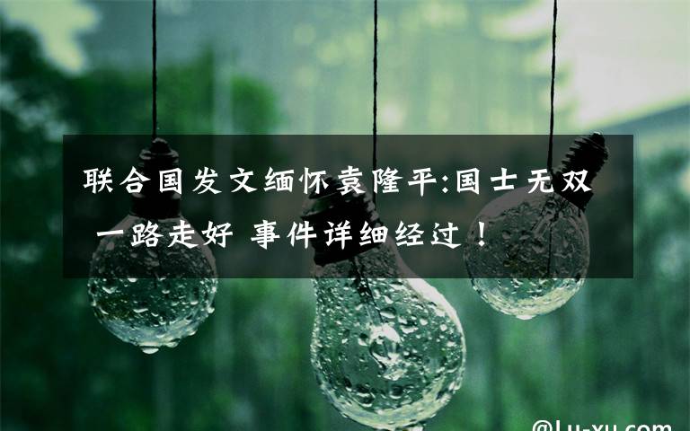 联合国发文缅怀袁隆平:国士无双 一路走好 事件详细经过！