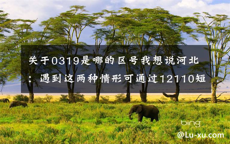 关于0319是哪的区号我想说河北：遇到这两种情形可通过12110短信报警