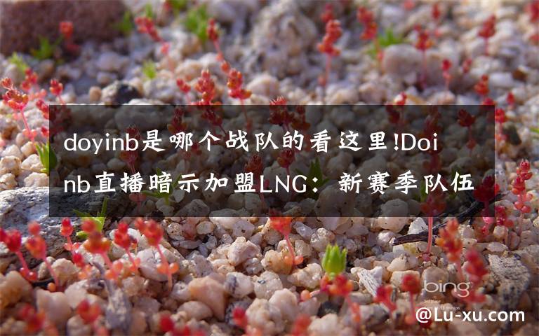 doyinb是哪个战队的看这里!Doinb直播暗示加盟LNG：新赛季队伍已定，就是大家猜到的