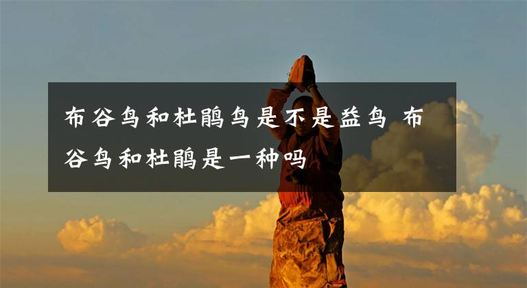 布谷鸟和杜鹃鸟是不是益鸟 布谷鸟和杜鹃是一种吗
