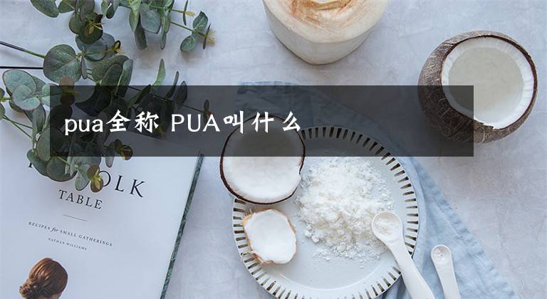 pua全称 PUA叫什么
