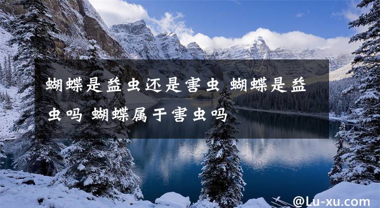 蝴蝶是益虫还是害虫 蝴蝶是益虫吗 蝴蝶属于害虫吗