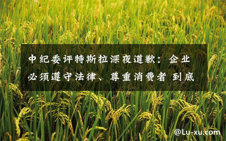 中纪委评特斯拉深夜道歉：企业必须遵守法律、尊重消费者 到底是什么状况？