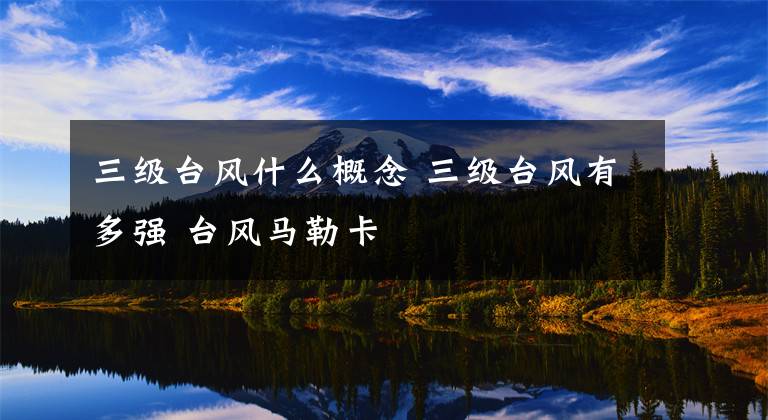 三级台风什么概念 三级台风有多强 台风马勒卡
