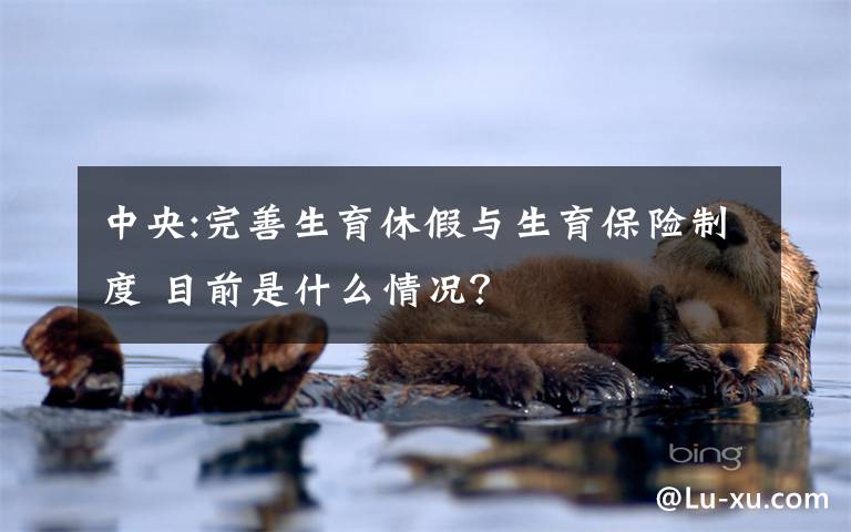 中央:完善生育休假与生育保险制度 目前是什么情况？