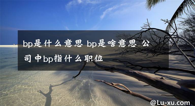 bp是什么意思 bp是啥意思 公司中bp指什么职位