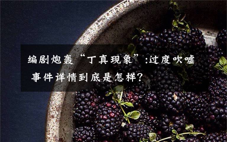 编剧炮轰“丁真现象”:过度吹嘘 事件详情到底是怎样？