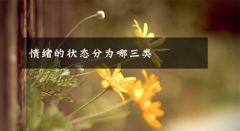 情绪的状态分为哪三类