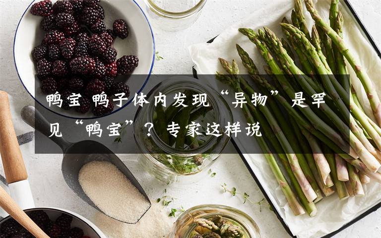 鸭宝 鸭子体内发现“异物”是罕见“鸭宝”？专家这样说