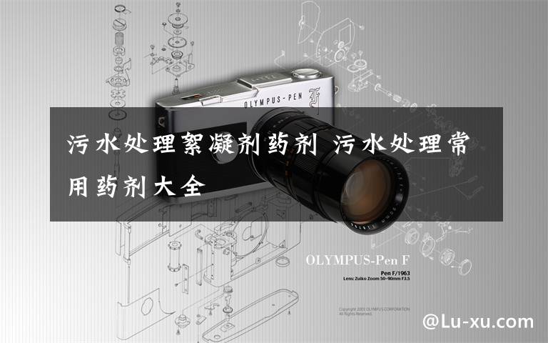 污水处理絮凝剂药剂 污水处理常用药剂大全