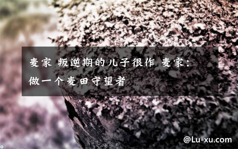 麦家 叛逆期的儿子很作 麦家：做一个麦田守望者