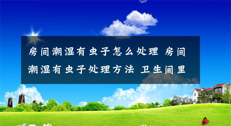 房间潮湿有虫子怎么处理 房间潮湿有虫子处理方法 卫生间里潮湿有爬的虫子怎么办