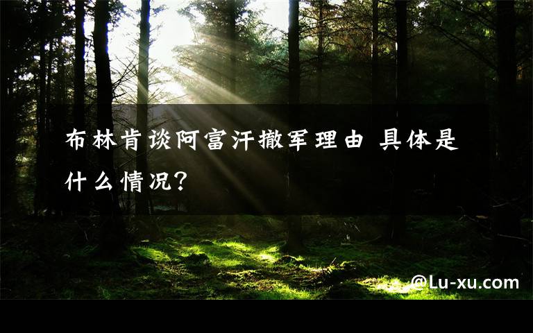 布林肯谈阿富汗撤军理由 具体是什么情况？